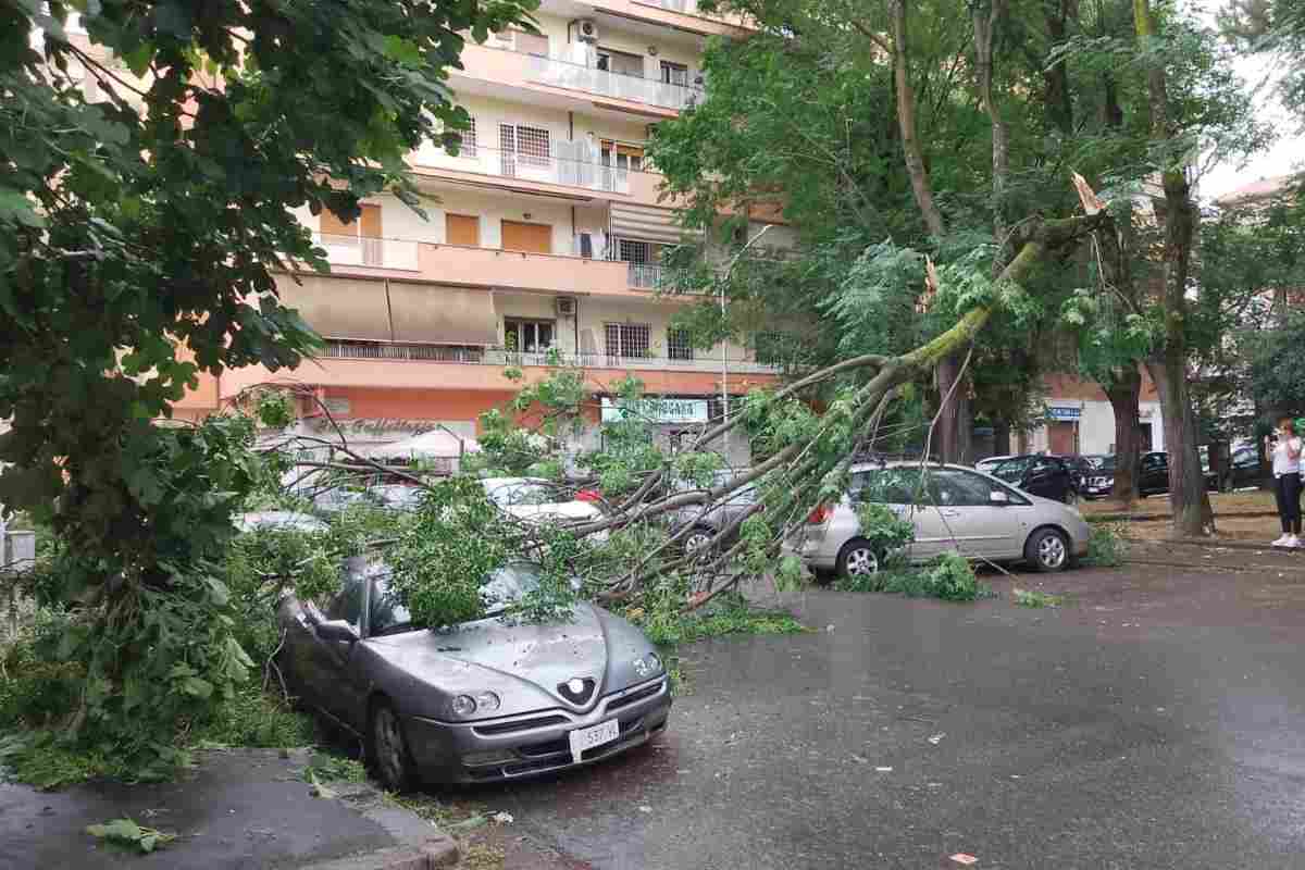 albero crollato roma