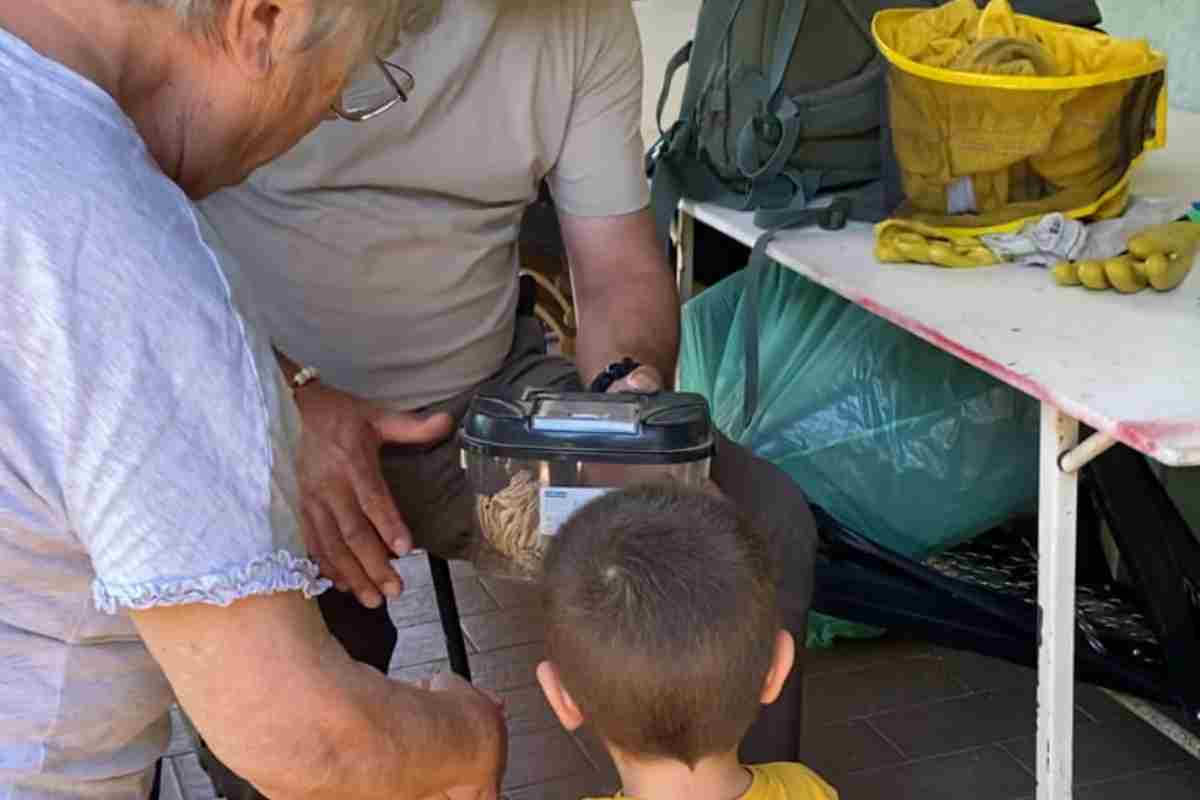 Rompe il nido di calabroni