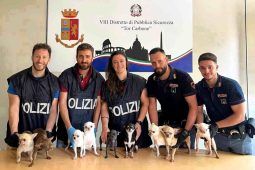 cani salvati dalla polizia