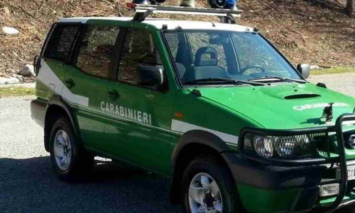 Carabinieri della Forestale