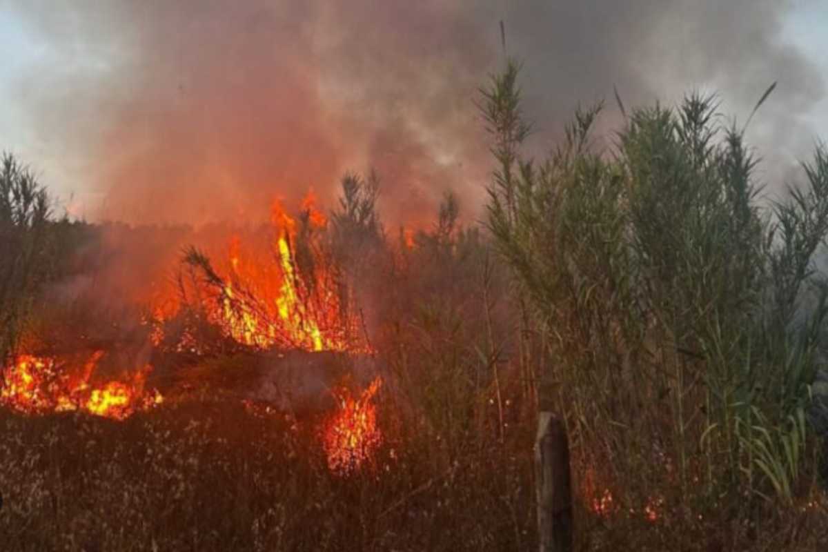 Incendio a Roma