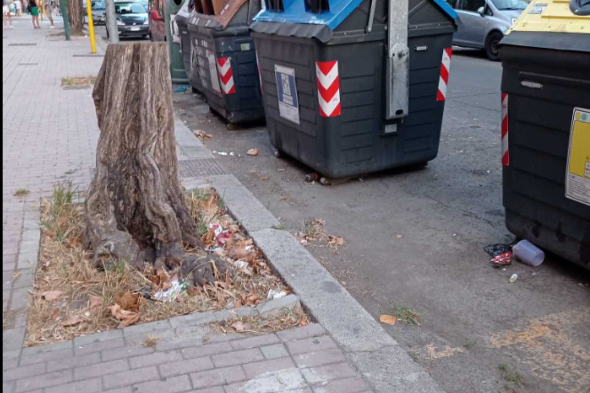 Degrado Ostia 