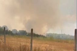 Incendio nel territorio di Roma